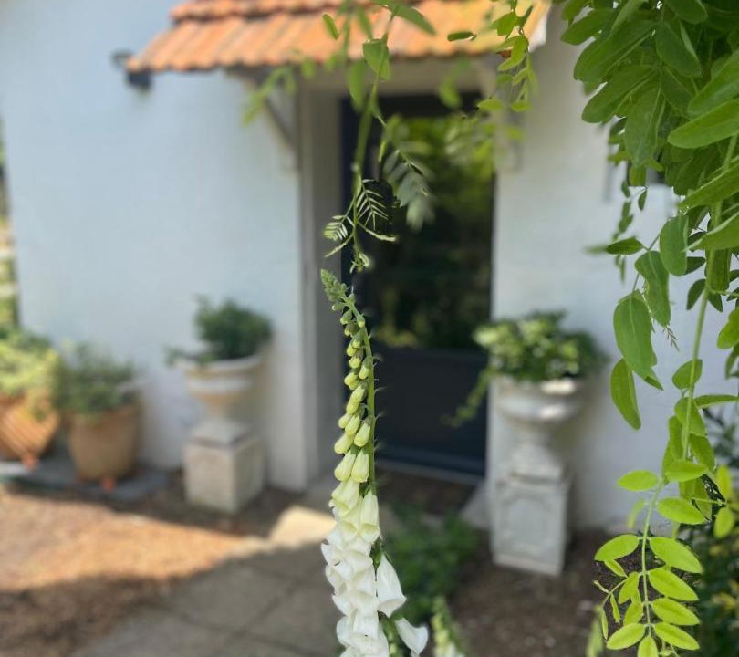 Photo of Others in Corme Ecluse