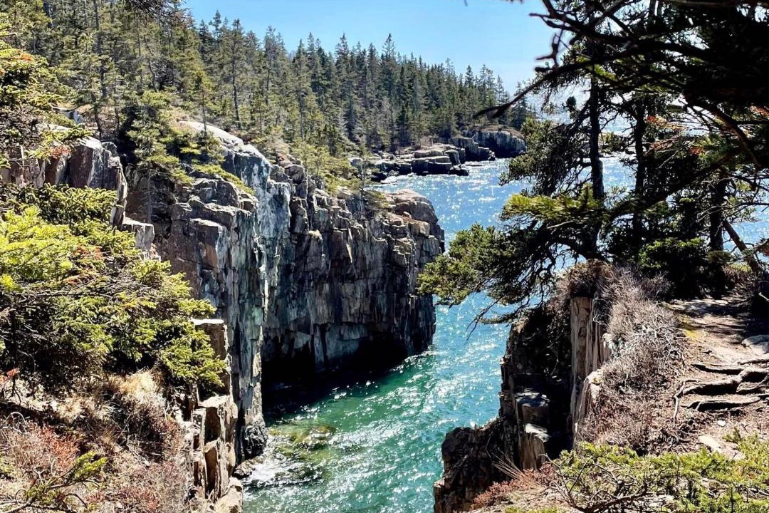 Photo of Others in Christmas Cove