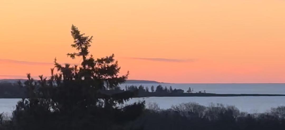 Photo of Others in Christmas Cove