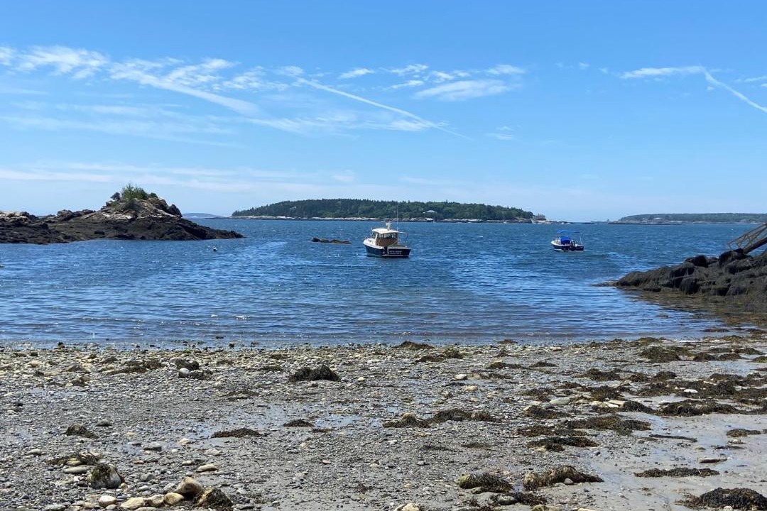 Photo of Others in Christmas Cove