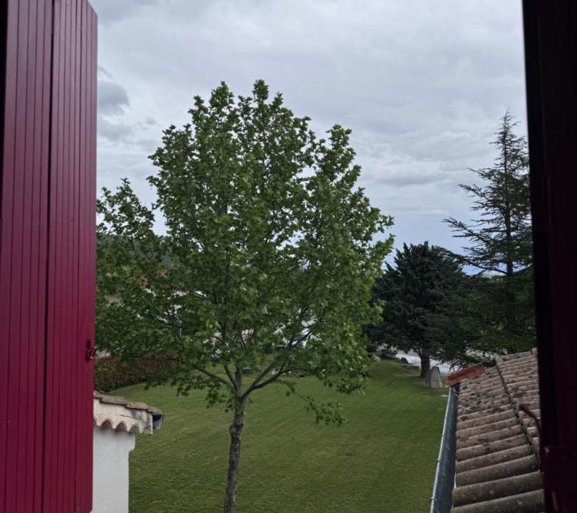 Photo of Others in Antonaves