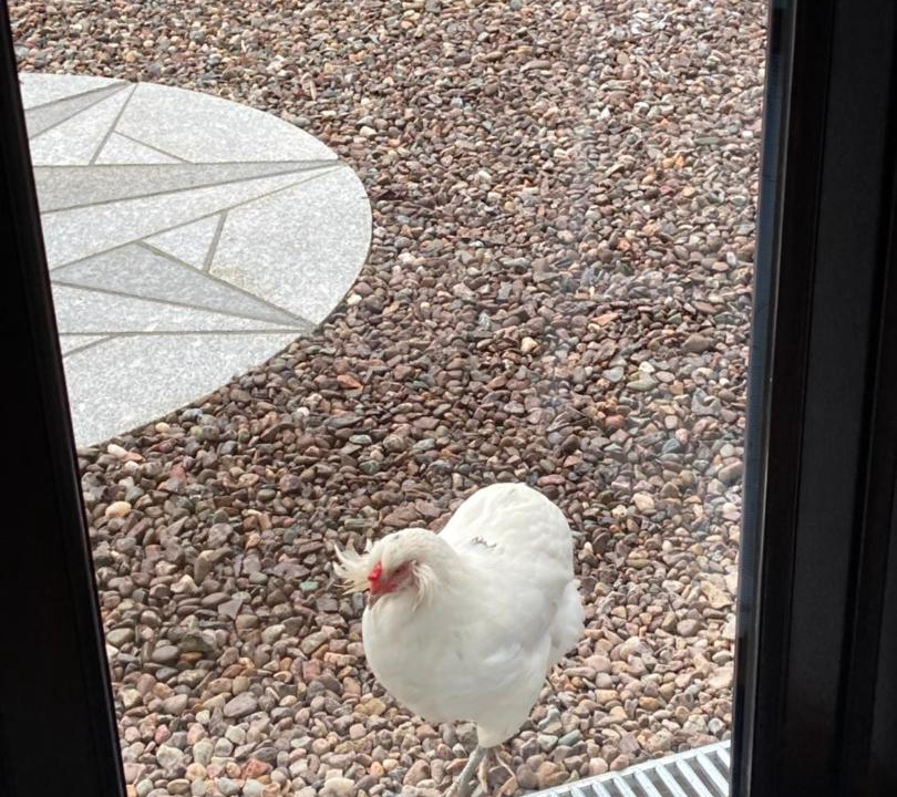 Photo of Others in Murthly