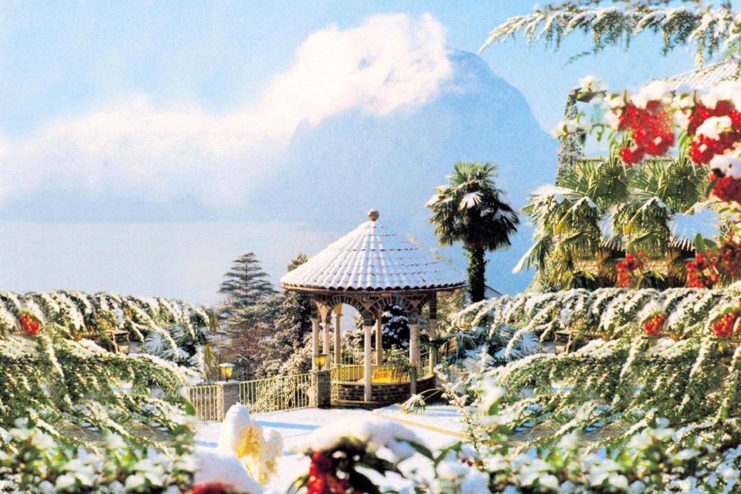 Photo of Others in Castagnola