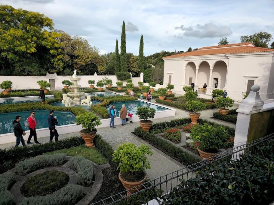 Photo of Others in Tamahere