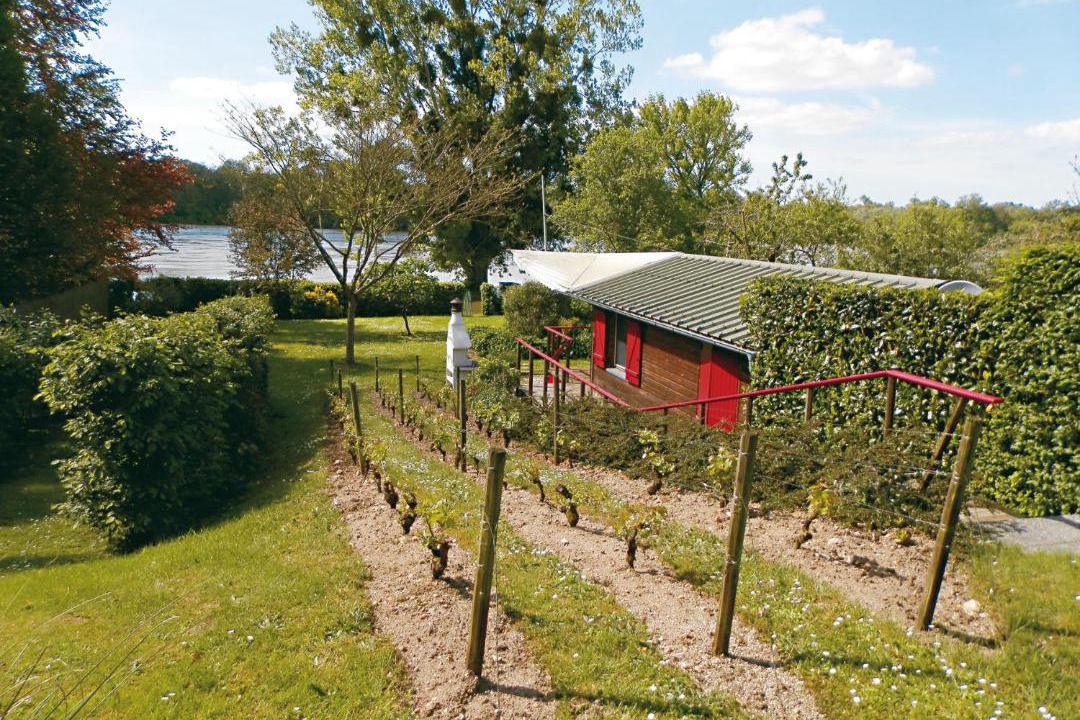 Photo of Others in Cosne-Cours-sur-Loire
