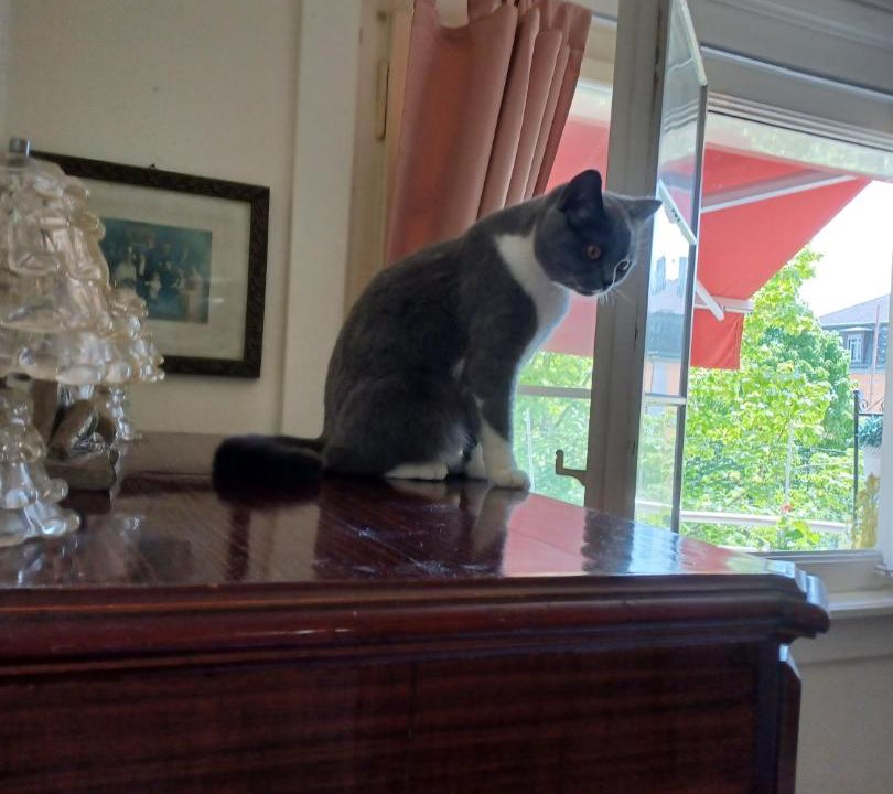 Photo of Others in Saint-Jean and Charmilles