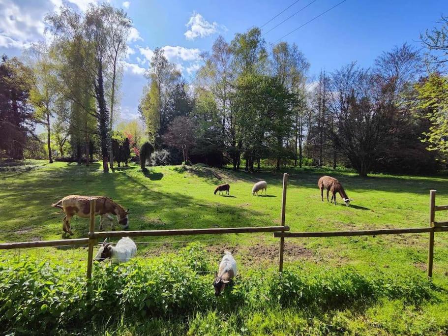 Photo of Others in Aubreville