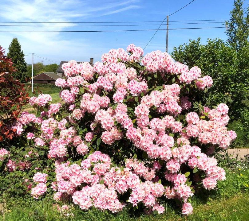 Photo of Others in Sourdeval