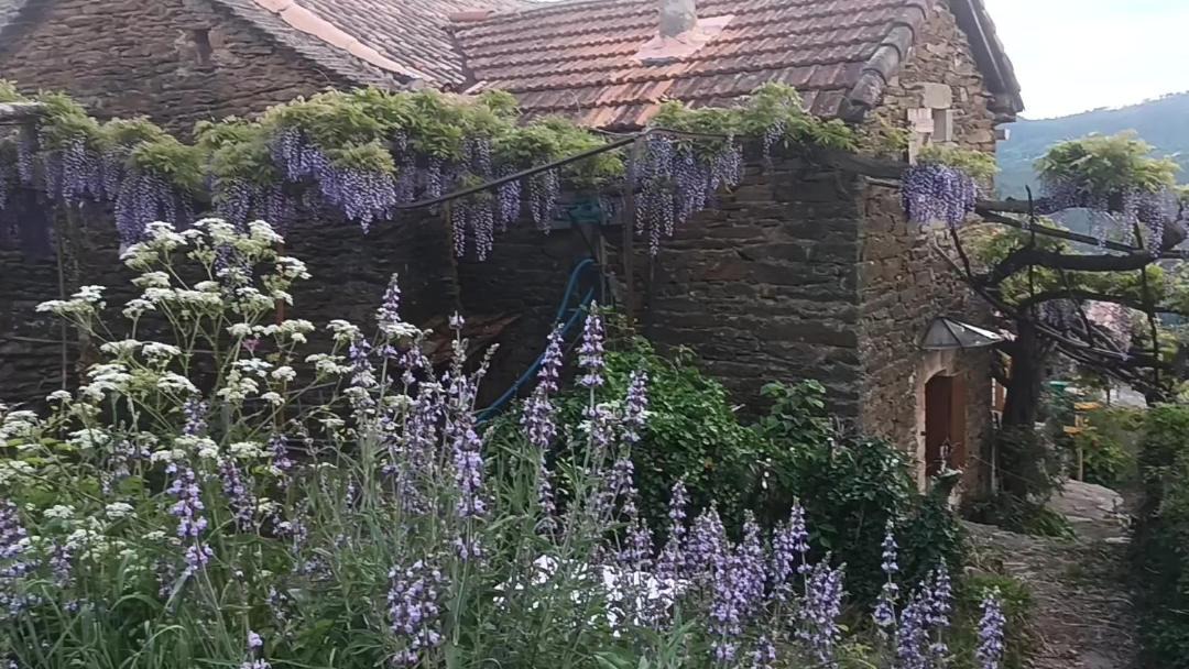 Photo of Others in Chambon