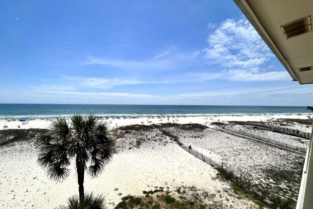 Photo of Others in Gulf Shores