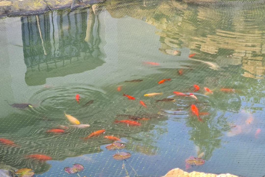 Photo of Others in Bourg-et-Comin