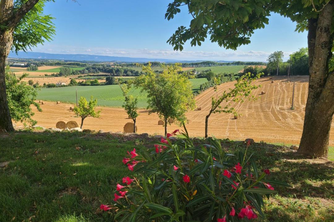 Photo of Others in Lautrec