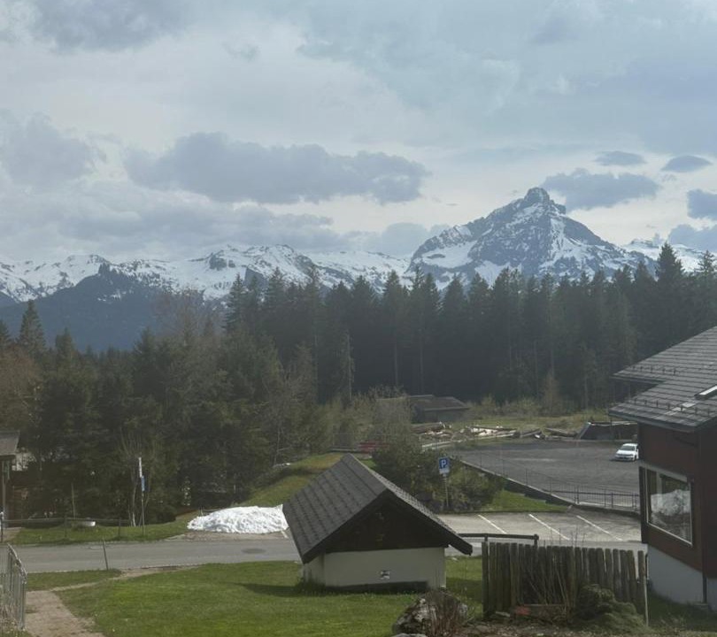 Photo of Others in Mitloedi