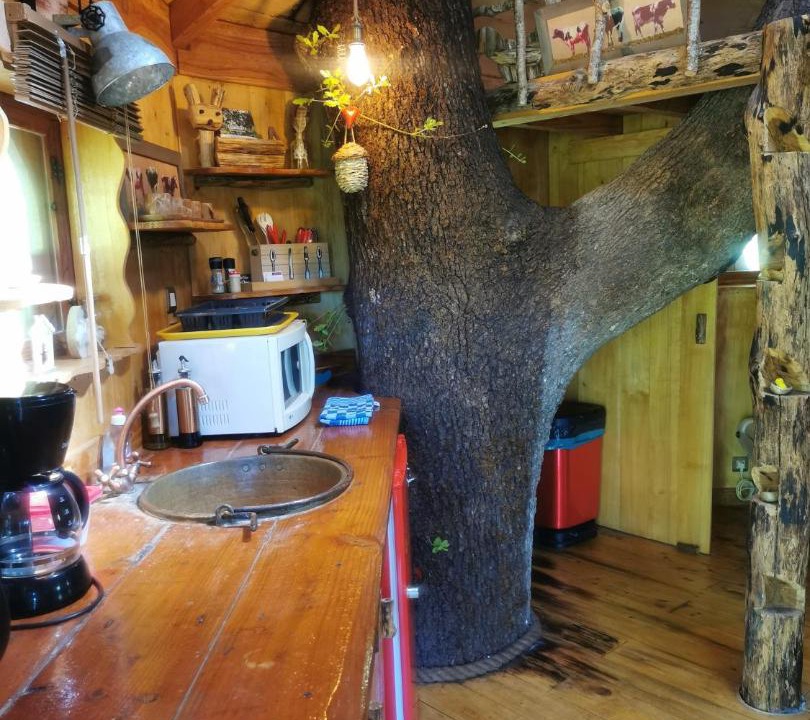 Photo of Others in Pons