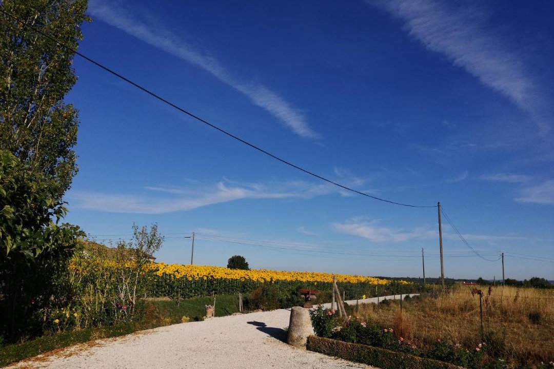 Photo of Others in Dunes