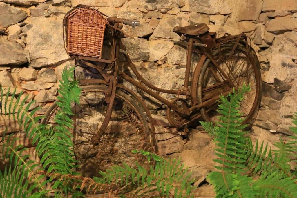 Photo of Others in Cier-de-Riviere