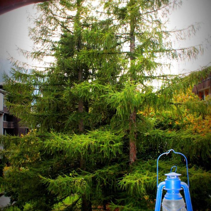 Photo of Others in Chamonix City Centre