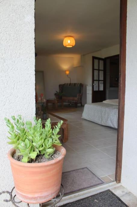 Photo of Others in Chatignac