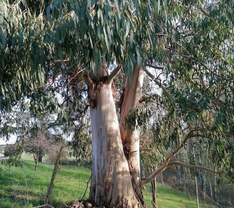 Photo of Others in Saint-Gaudens