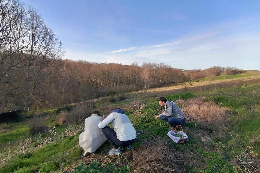 Photo of Others in Saint-Gaudens