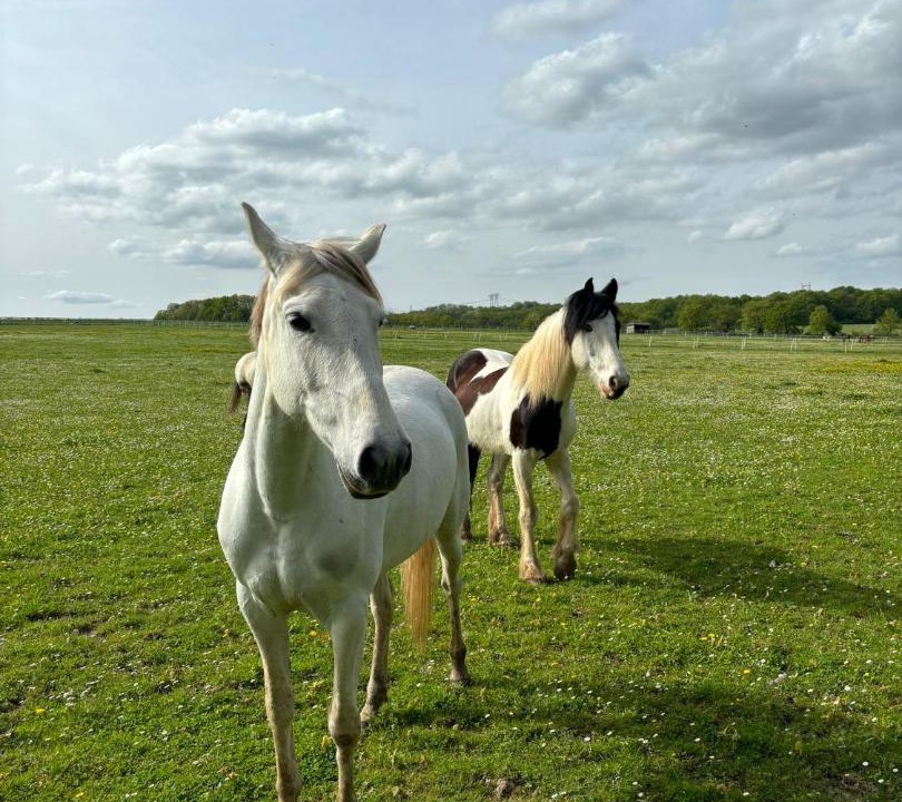 Photo of Others in Vaugrigneuse