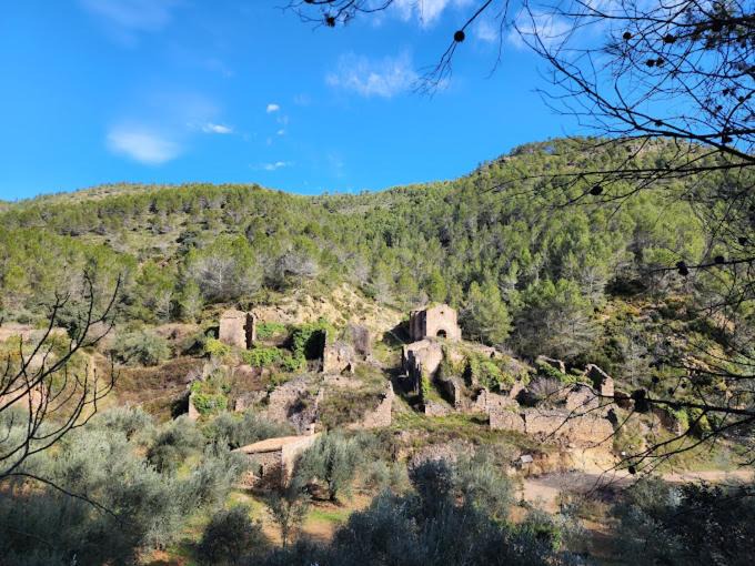 Photo of Others in Alcudia de Veo