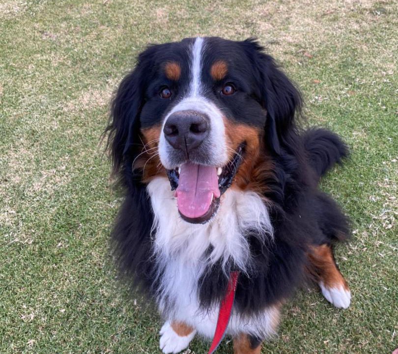 Photo of Others in Strath Creek