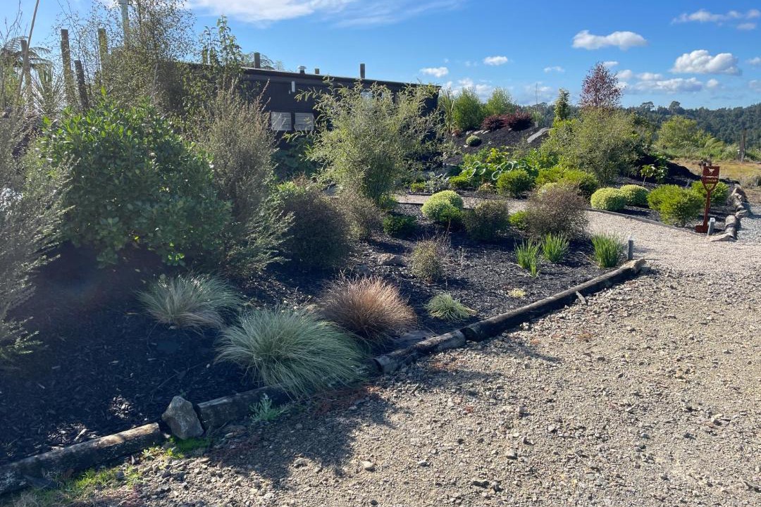 Photo of Others in Lower Kaimai