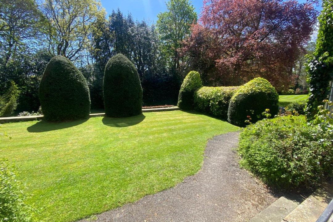 Photo of Others in Roundhay