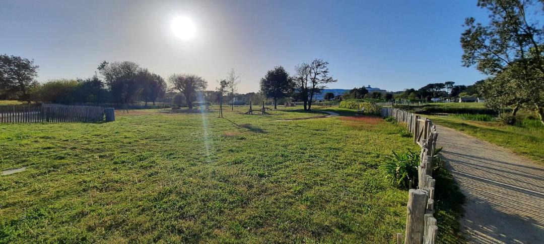 Photo of Others in Arzon