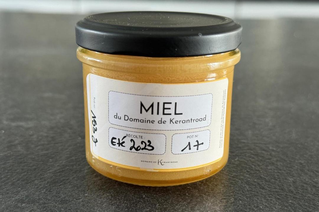 Photo of Others in Plonevez-Porzay