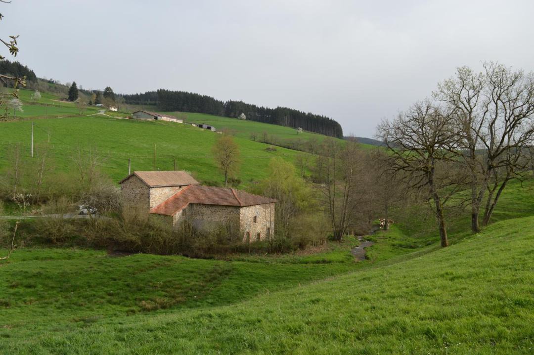Photo of Others in Saint-Bonnet-le-Troncy