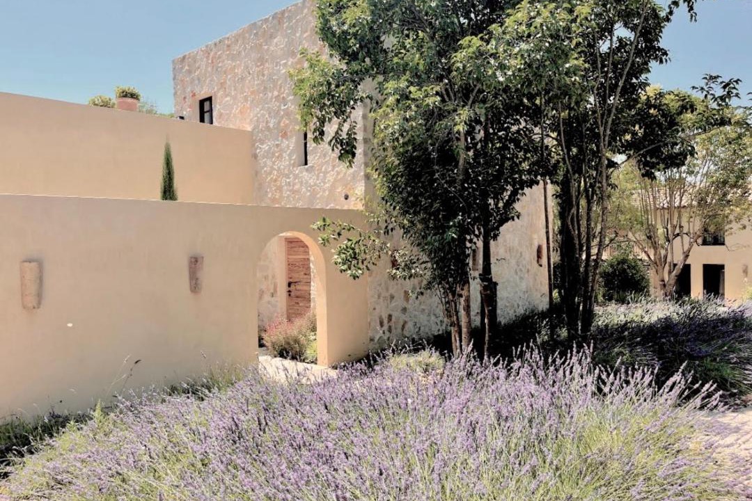 Photo of Others in Saint-Paul-de-Vence