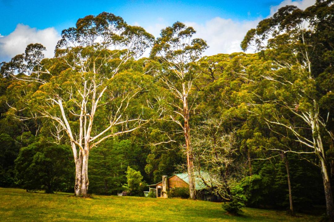Photo of Others in Berambing