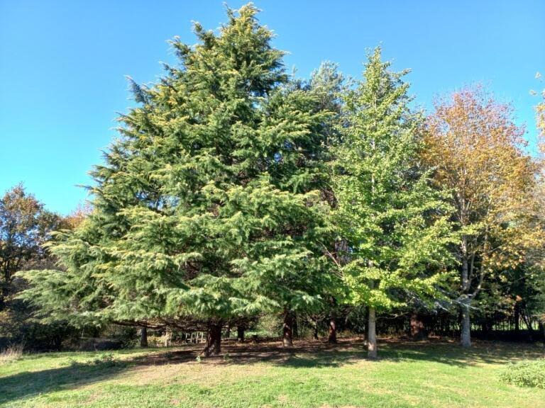 Photo of Others in Villemotier