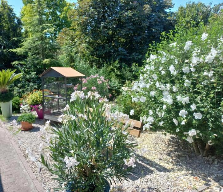 Photo of Others in Villemotier