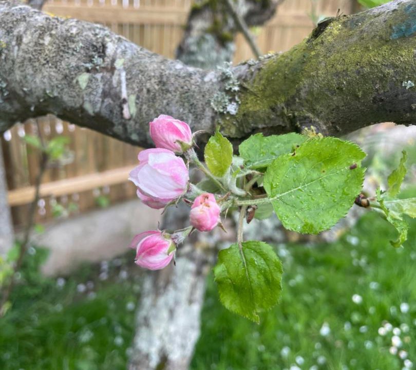 Photo of Others in Saint-Jacques-de-la-Lande