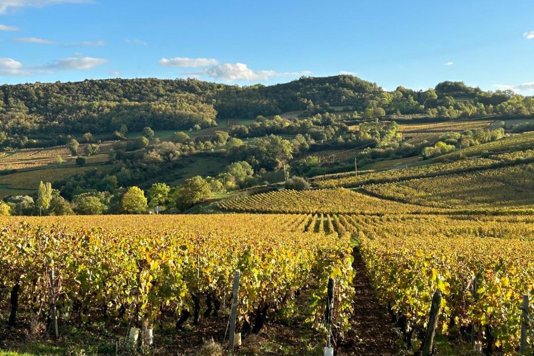 Photo of Others in Leynes