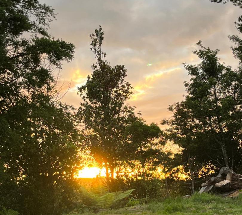 Photo of Others in Karangahake