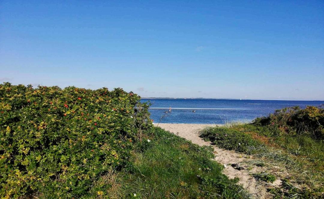 Photo of Others in Hvalpsund