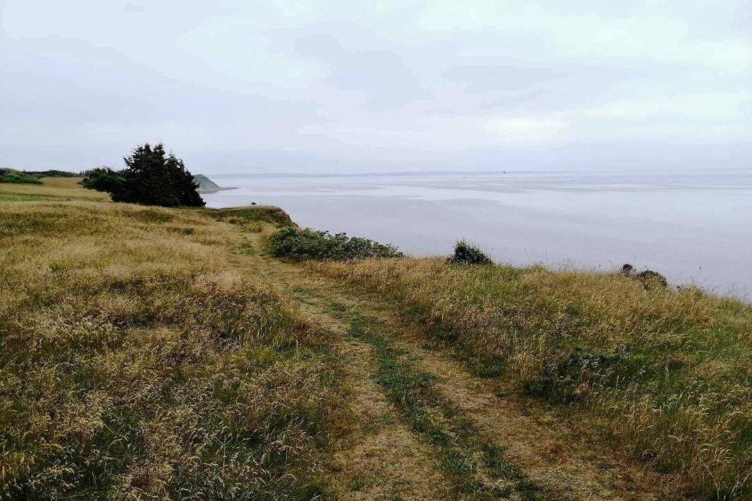 Photo of Others in Hvalpsund