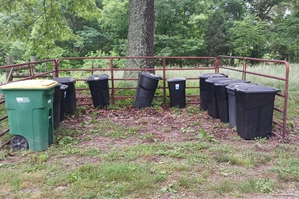 Photo of Others in Saint Joe