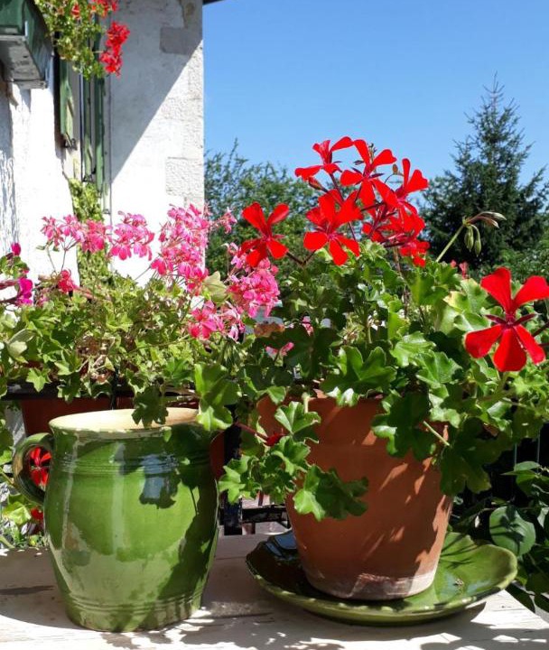 Photo of Others in Arzier