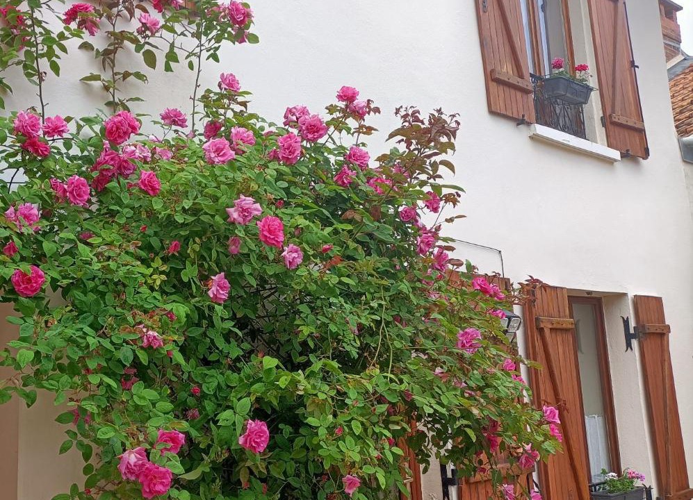 Photo of Others in Thiveral-Grignon