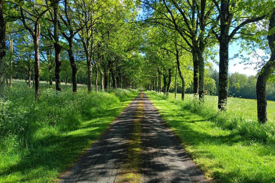 Photo of Others in La Chapelle-Baton