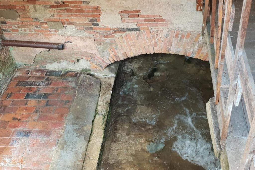 Photo of Others in Saint-Martin-d'Ablois