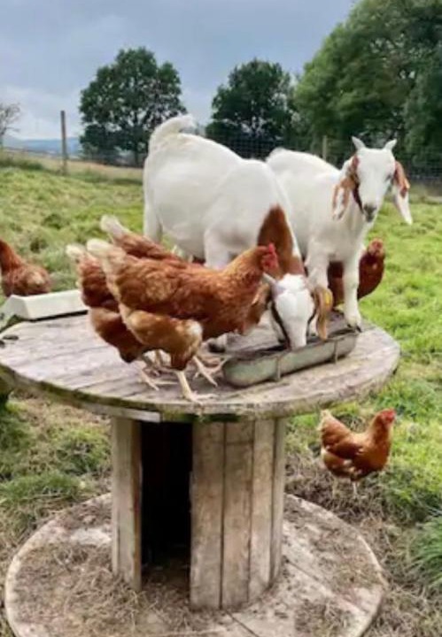 Photo of Others in Foulridge