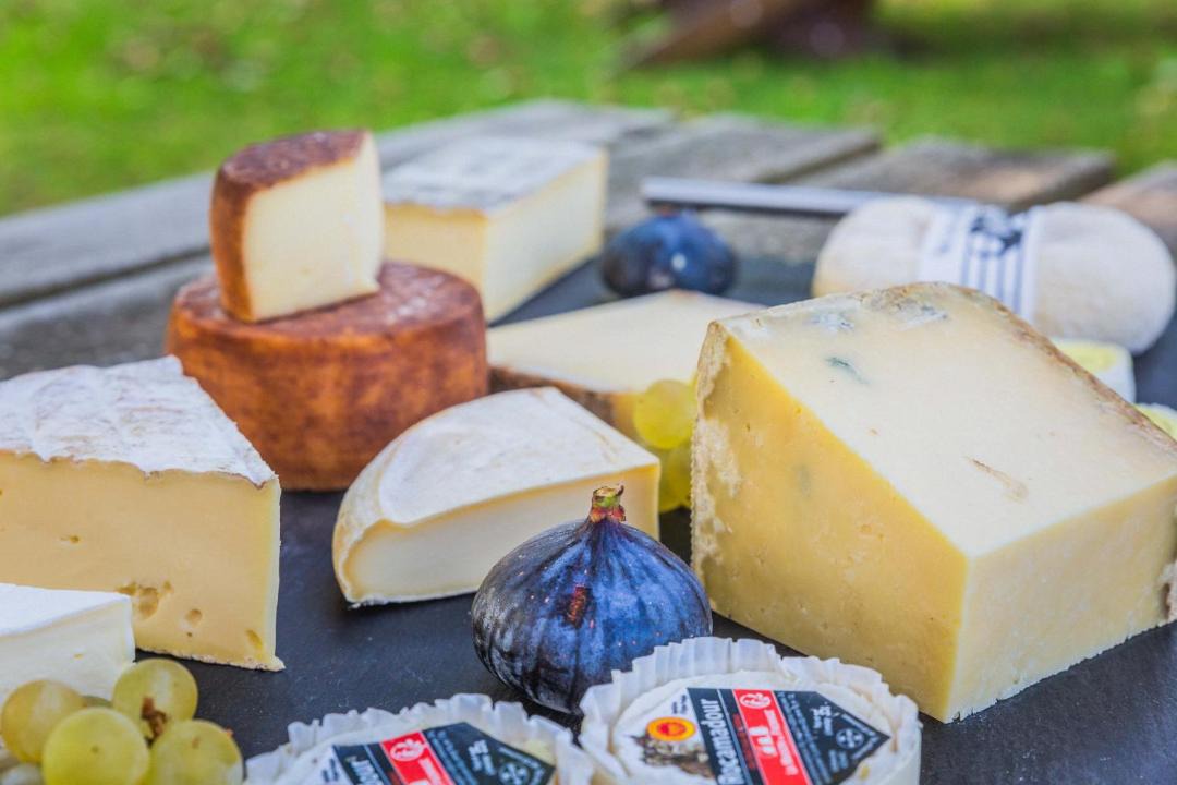 Photo of Others in Sadroc