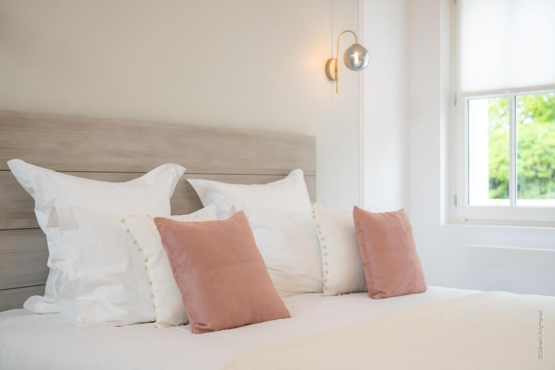 Photo of Others in Distre