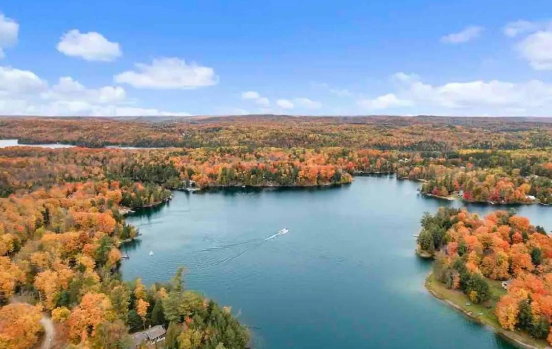 Photo of Others in L'Amable